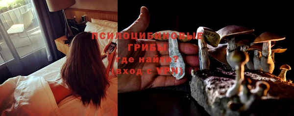 дурь Балахна