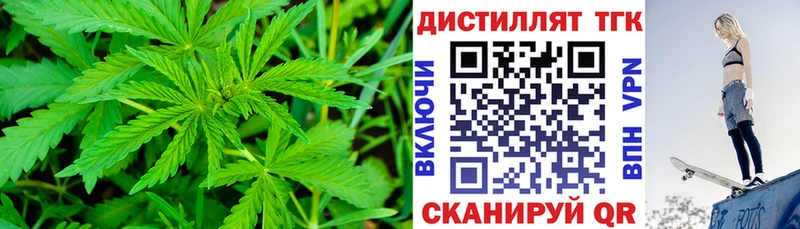 ТГК Wax  Гудермес 