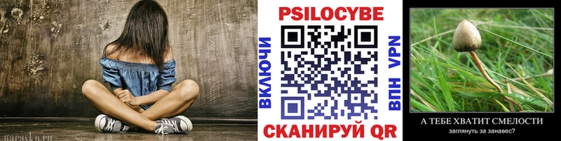 дарк нет состав  где можно купить   Гудермес  Псилоцибиновые грибы Psilocybine cubensis 